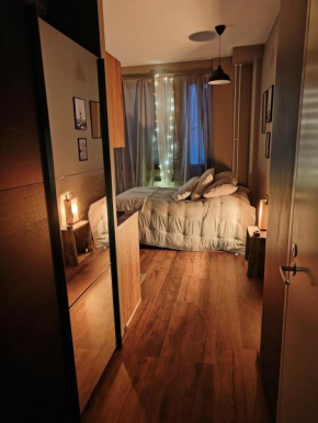 Unique Loft -studio, Rovaniemi